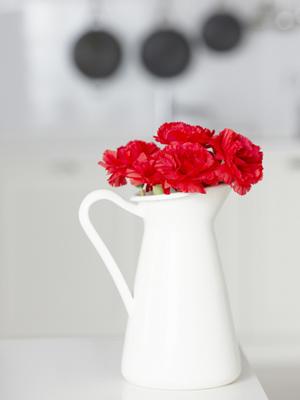 婚活で頼りになる京都の結婚相談所