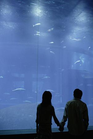 エクセルコ ダイヤモンド 池袋パルコ店 – 婚約指輪・結婚指輪の専門店