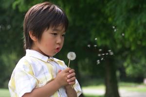 名古屋で理想の結婚指輪を見つけるための完全ガイド：デザインから予算まで徹底チェック！